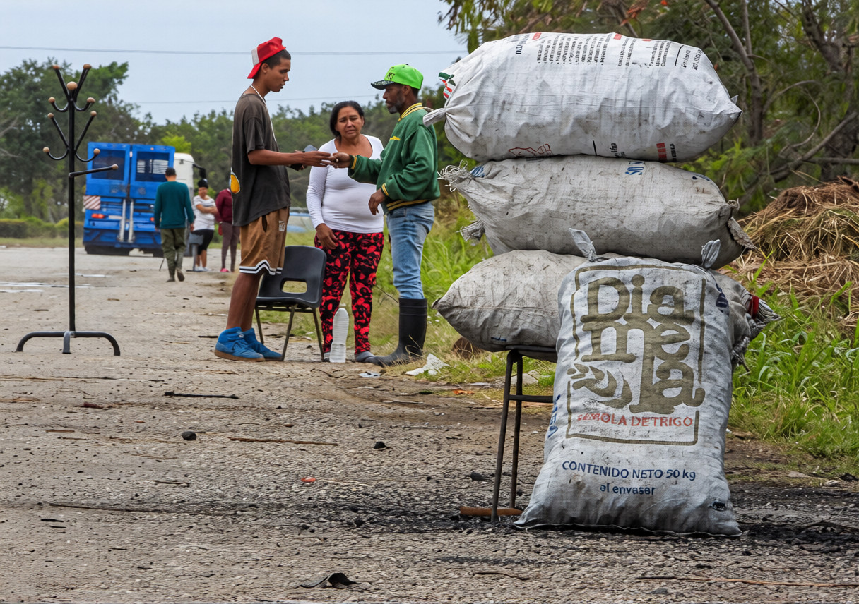 À Cuba, charbon de bois et panneaux solaires pour affronter la crise énergétique